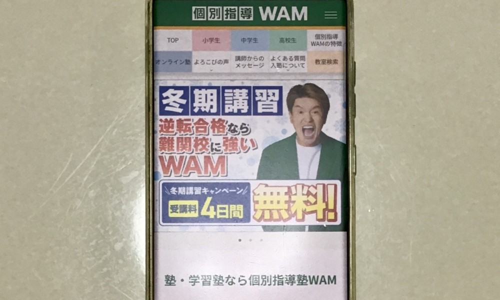 個別指導WAM